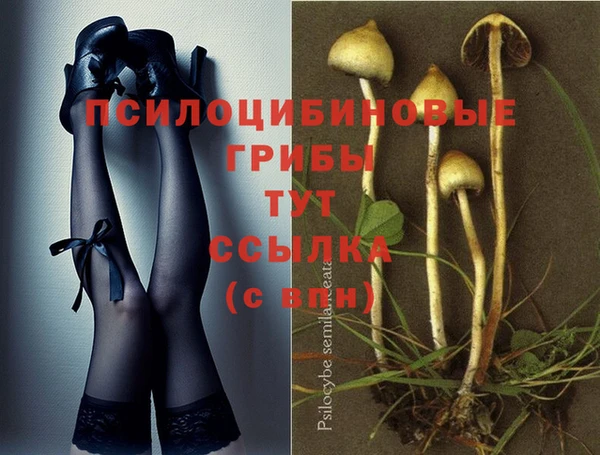 дурь Карталы