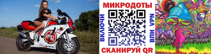 Купить где  Петровск  Галлюциногенные грибы Cubensis 