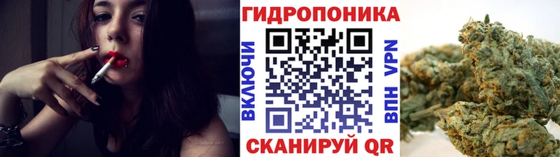 Канабис Amnesia  Купить закладки  Петровск 